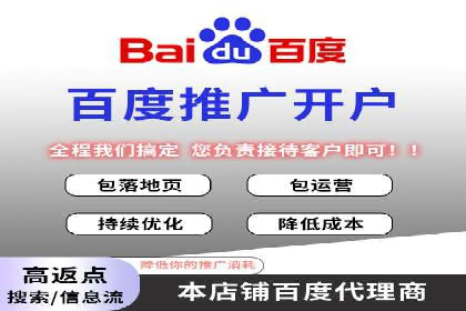 SEM竞价广告的智能优化：成功案例解读